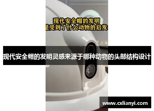 现代安全帽的发明灵感来源于哪种动物的头部结构设计