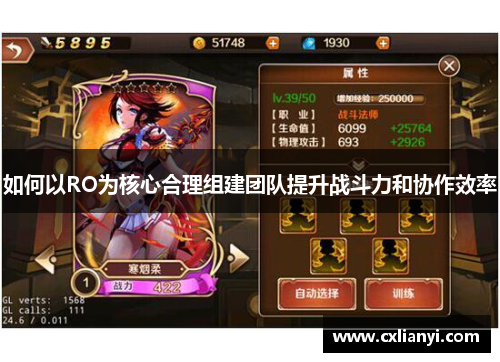 如何以RO为核心合理组建团队提升战斗力和协作效率